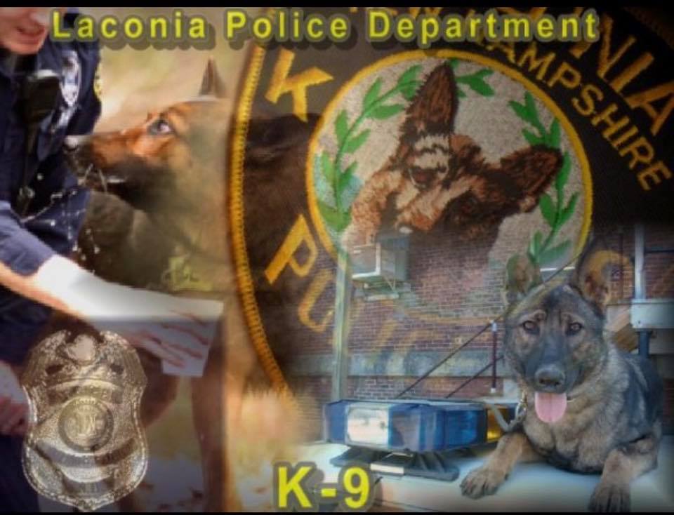 LPD K9