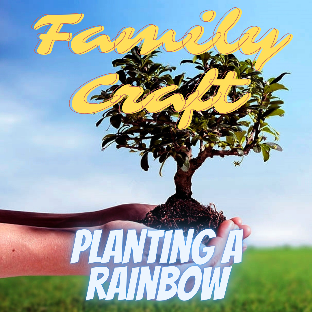 Family Craft Planting a Rainbow